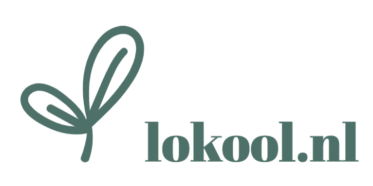 Lokool.nl