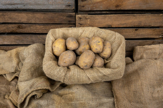 Frieslander aardappel nieuwe oogst 2023